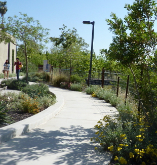 Pathway with art and interpretive elements