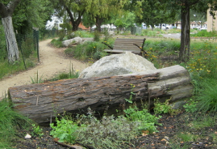 Upland habitat feature & site furnishings